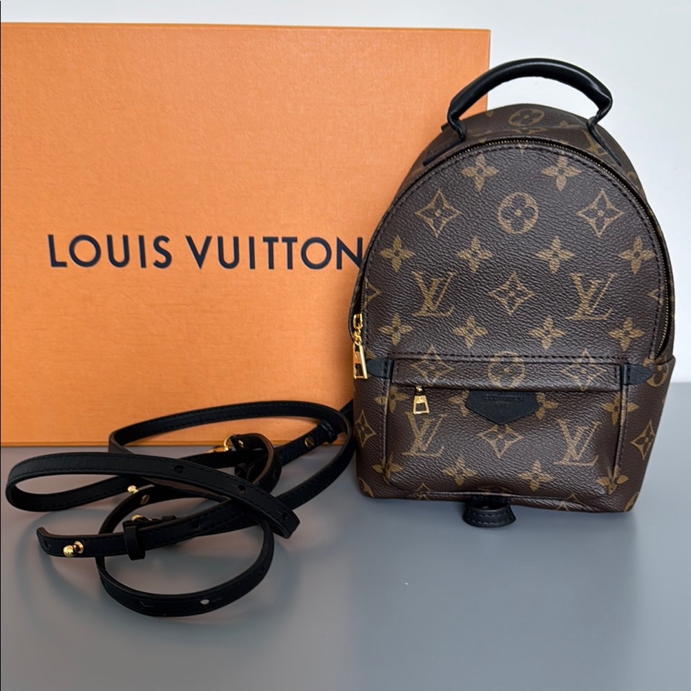 Louis Vuitton Palm Springs Mini Backpack